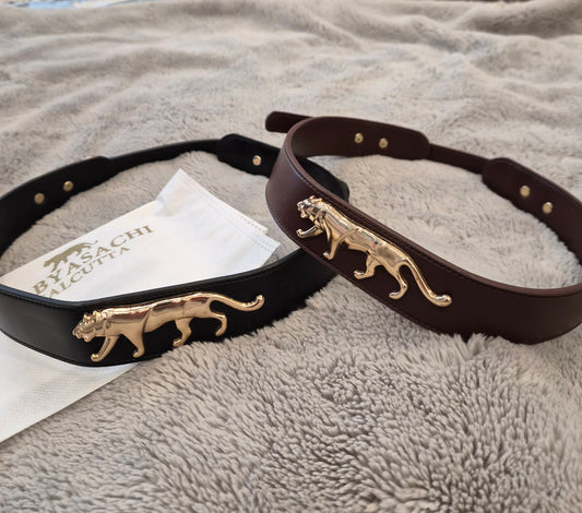 Inspired Belts